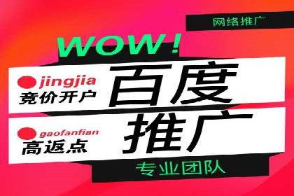 SEM网络推广成功案例：如何抓住潜在客户